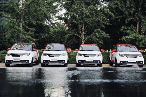 電咖汽車突圍新賽道 年度實(shí)現(xiàn)規(guī)模化SUV銷售成為亮點(diǎn)，重磅新品有望明年登場(chǎng)