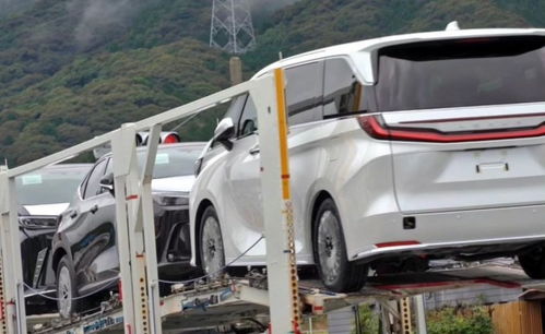 國(guó)產(chǎn)車或許難敵的神車？地表最貴“面包車”雷克薩斯LM售價(jià)揭曉